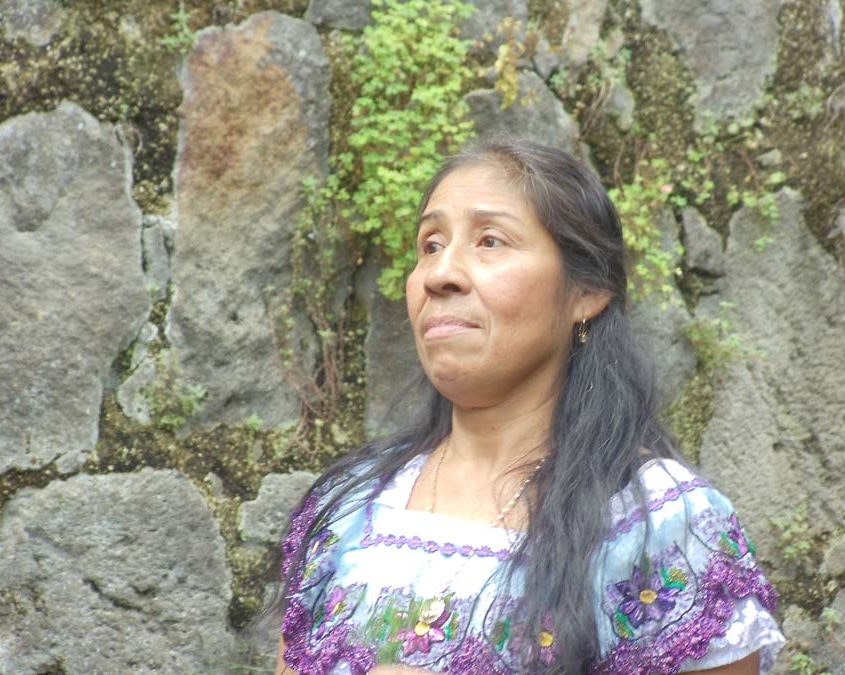 Lake Atitlan Herbal Medicine Tour