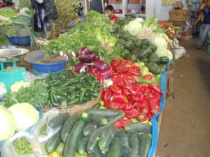 NO GMO For Guatemala Fruits & Vegetables