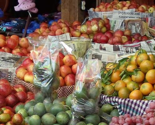 NO GMO For Guatemala Fruits & Vegetables