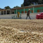 Guatemala Coffee Maker Cleaning