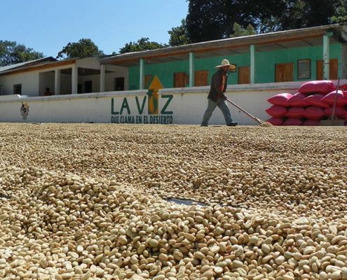 Guatemala Coffee Maker Cleaning