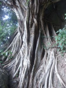 Hiking Trekking Lake Atitlan