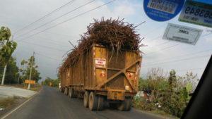 Guatemala Sugar Cane Adventure