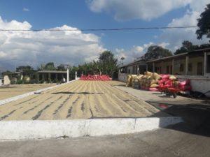 Guatemala Rainy Season For Tourists