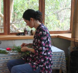 Guatemala Herbal Medicine Workshop