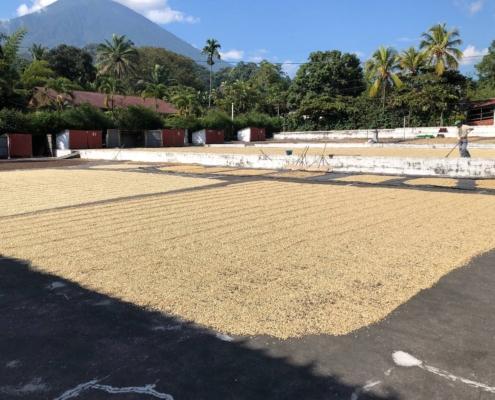 You can learn more About Guatemala Handmade Coffee