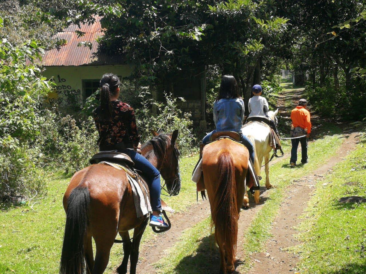 Horseback Riding Adventures