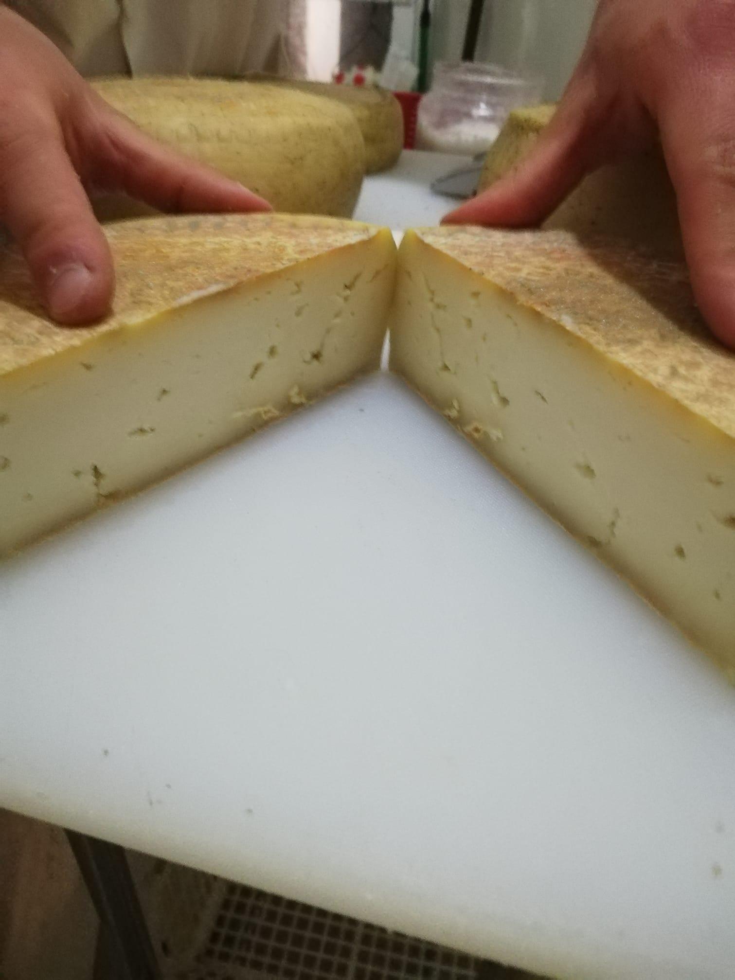 Guatemala Aged Goat Cheese