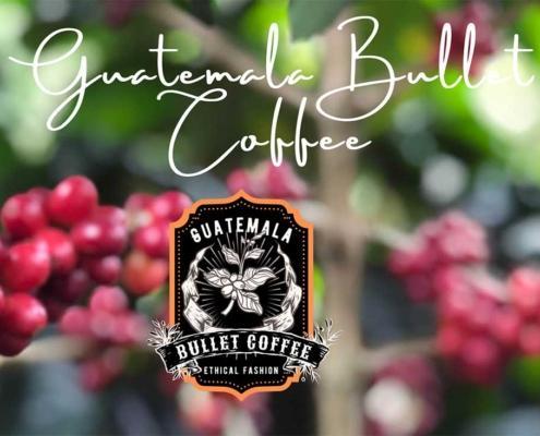 Exporting Guatemala Premium Coffee