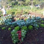 Mesoamerican Permaculture Institute IMAP