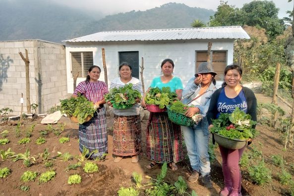 Mesoamerican Permaculture Institute IMAP