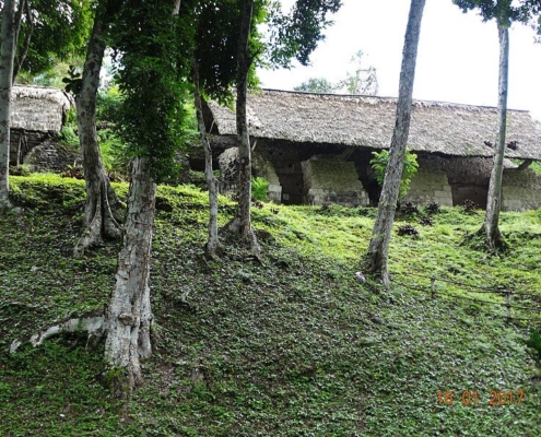 Discovering Yaxhá