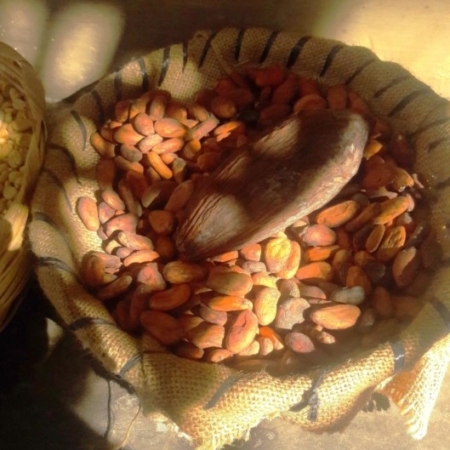 Sacred Ritual of Mayan Cacao