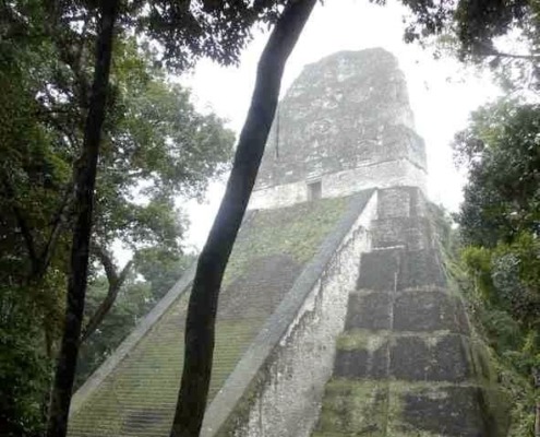 A Guide to Tikal