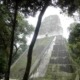 A Guide to Tikal