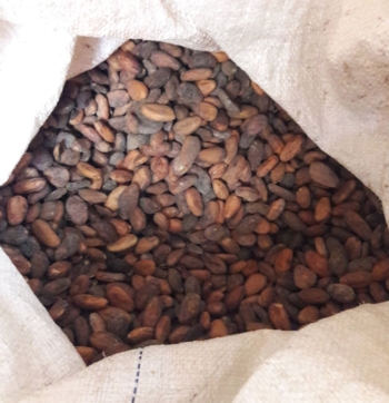 Guatemala Single Origin Cacao