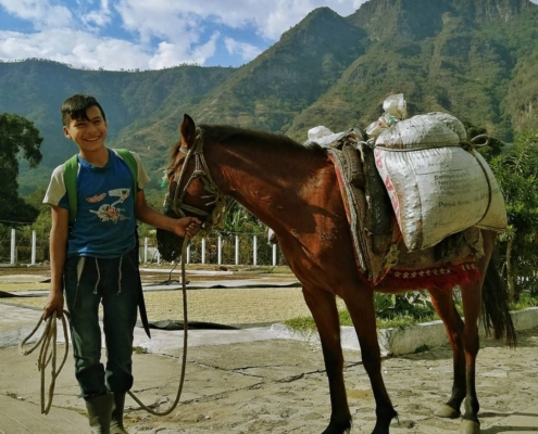 La Voz Coffee Cooperative Tour