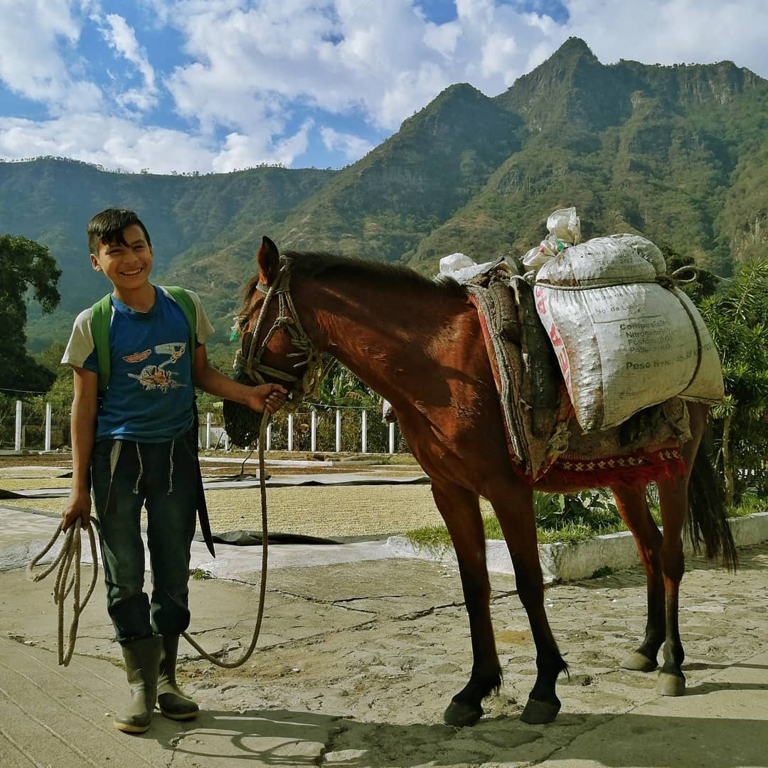 La Voz Coffee Cooperative Tour